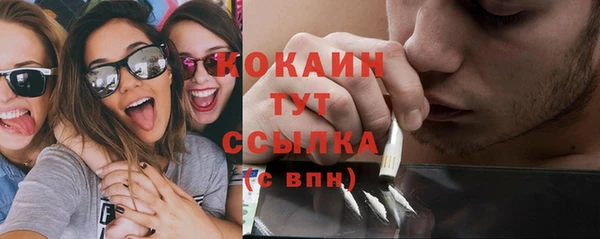мяу мяу мука Магас