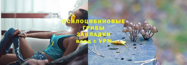сатива Магадан