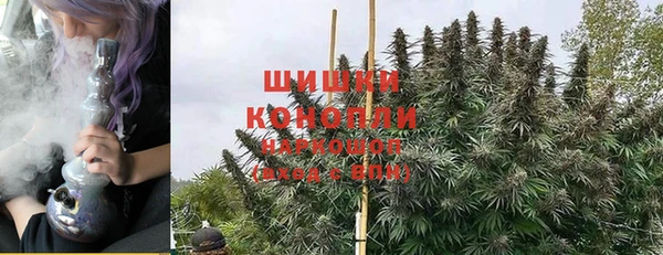 мяу мяу мука Магас