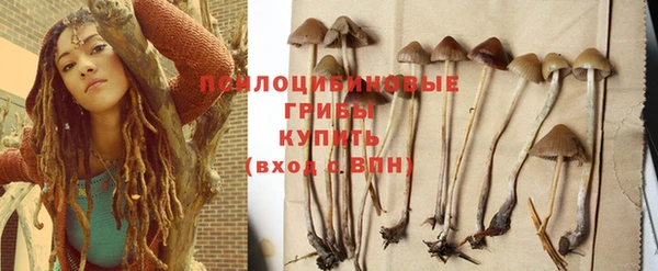 сатива Магадан