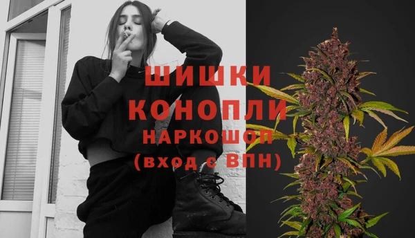сатива Магадан