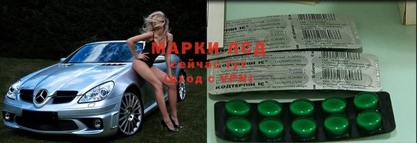 сатива Магадан