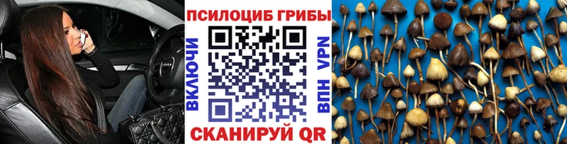 где продают наркотики Троицк Галлюциногенные грибы Psilocybine cubensis